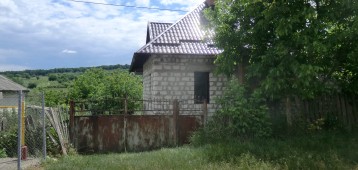 Дом с участком, село Иванча