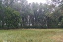 Дубоссарский р-н, село Пырыта