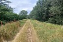 Дубоссарский р-н, село Пырыта