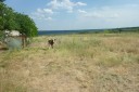 Криулянский р-н, село Жеврены